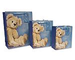 Gift Bag ' Baby Boy'